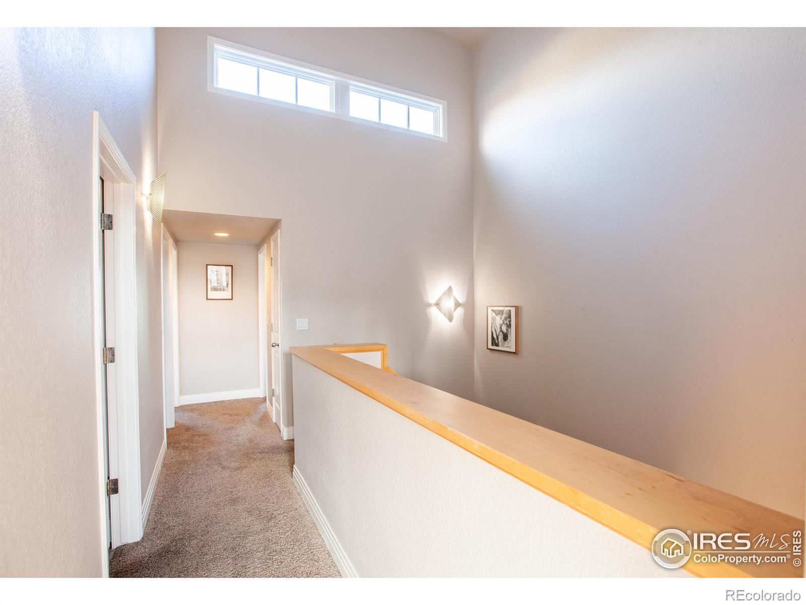 MLS Image #13 for 820  tenacity drive,longmont, Colorado