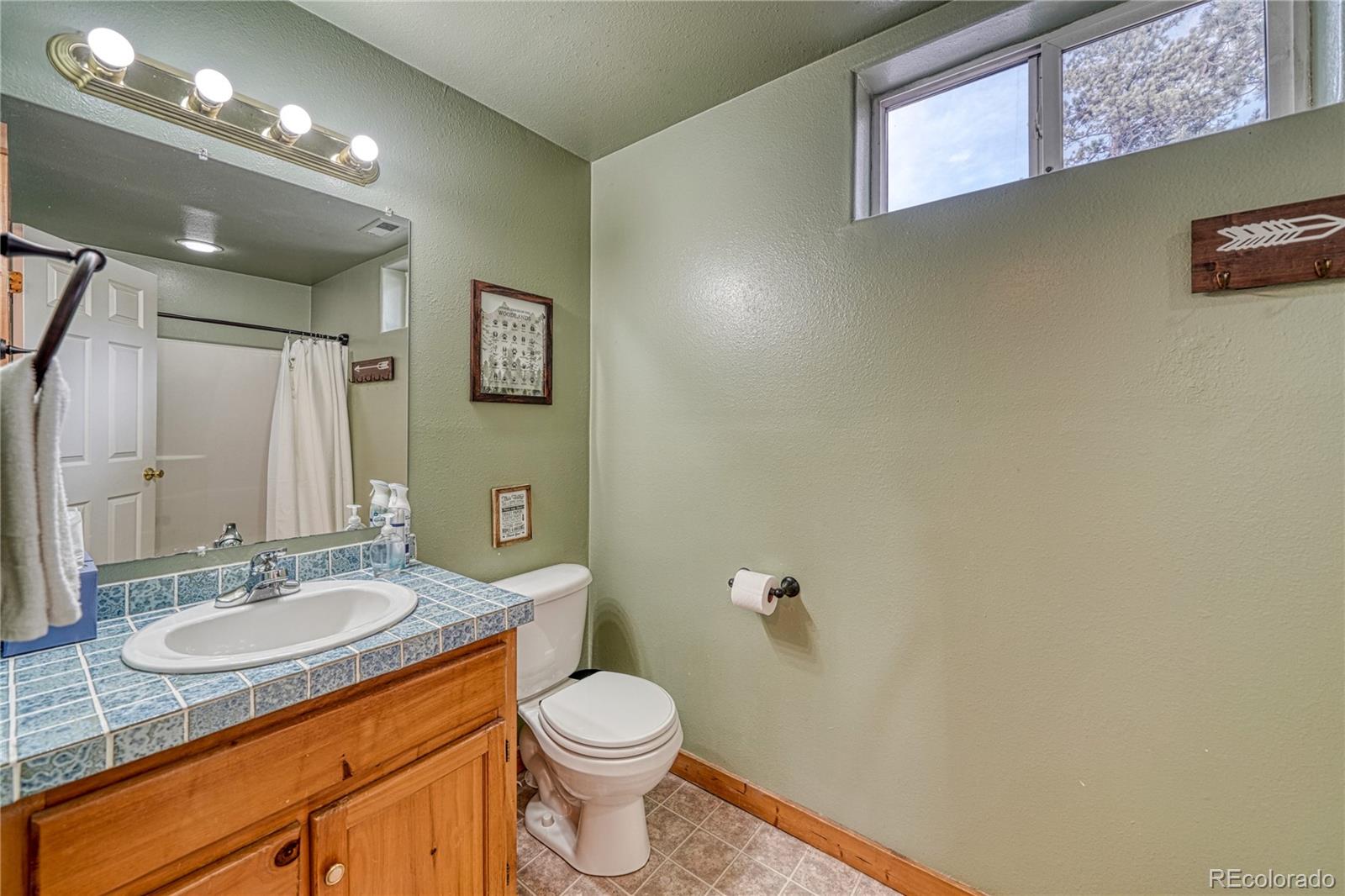 MLS Image #28 for 24  antero circle,florissant, Colorado