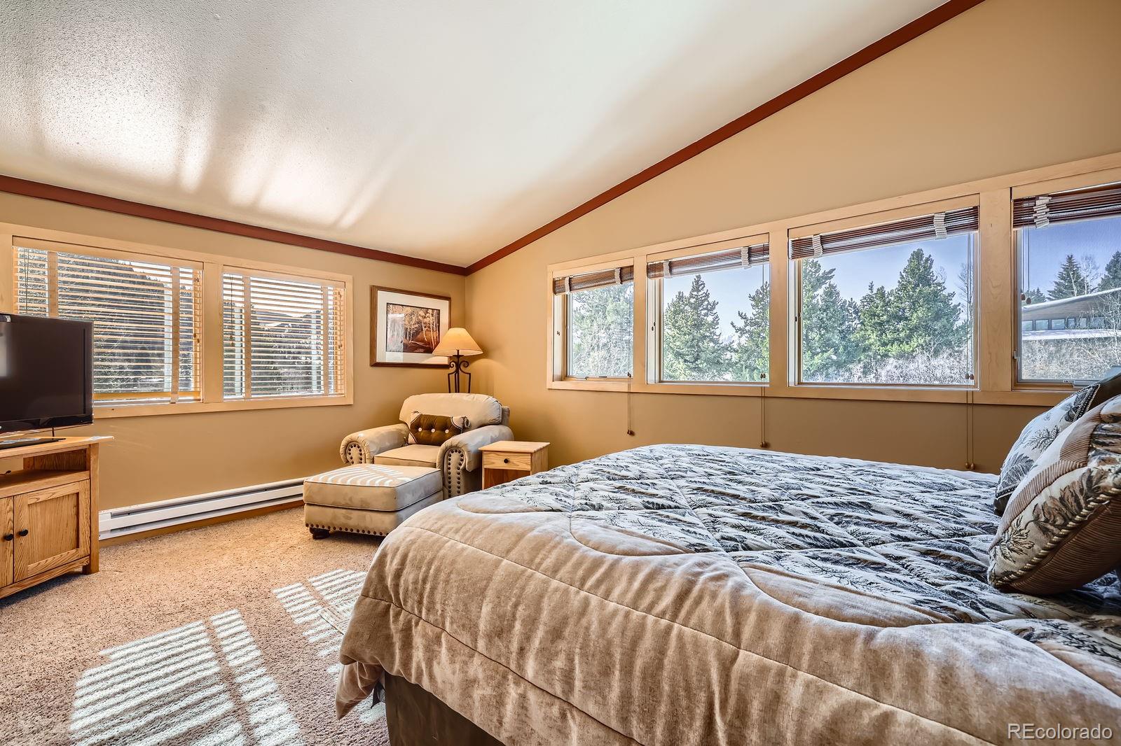 MLS Image #11 for 560  tennis club road,dillon, Colorado