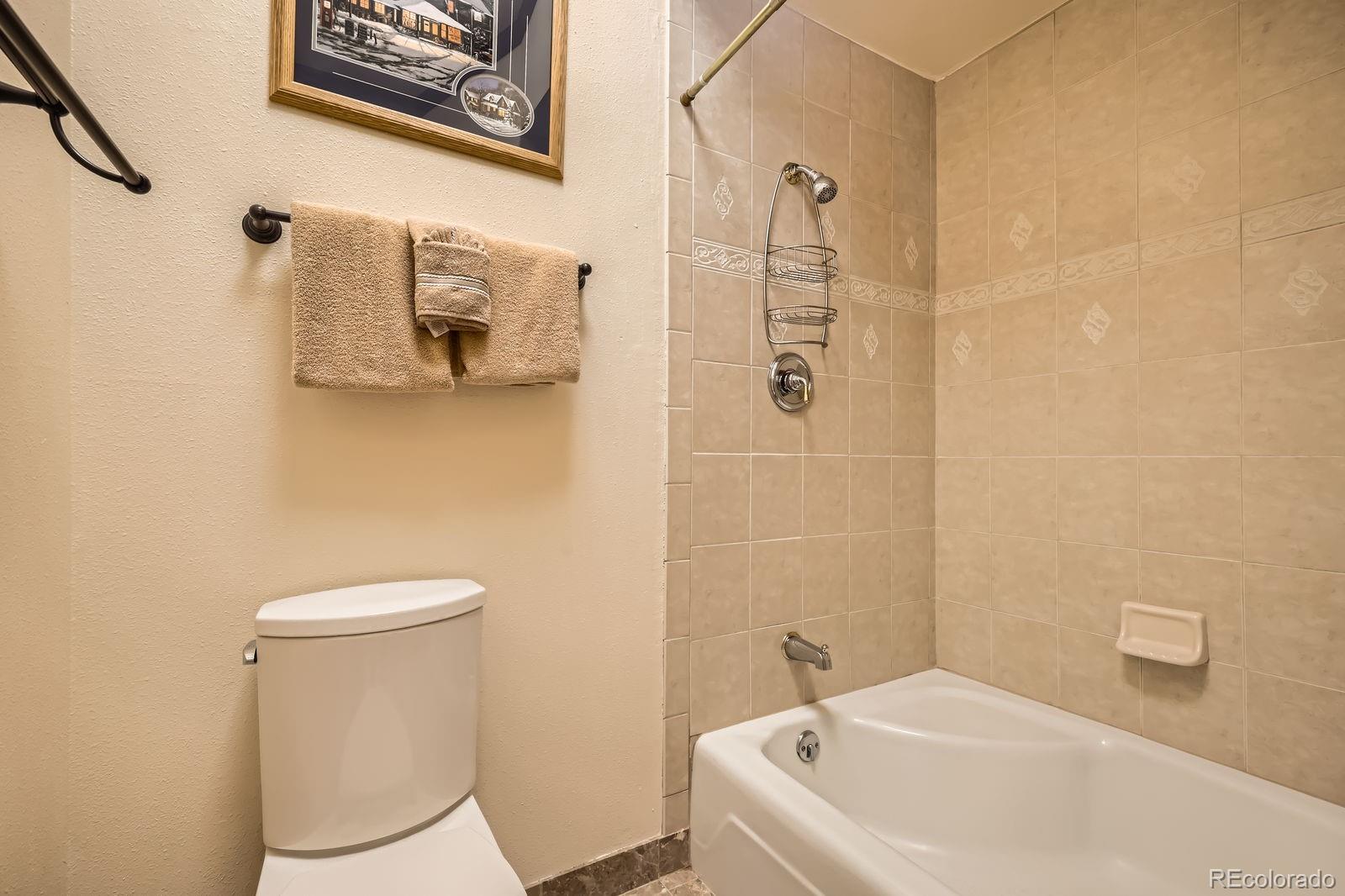 MLS Image #14 for 560  tennis club road,dillon, Colorado