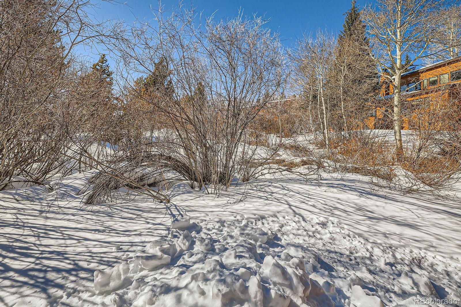 MLS Image #24 for 560  tennis club road,dillon, Colorado