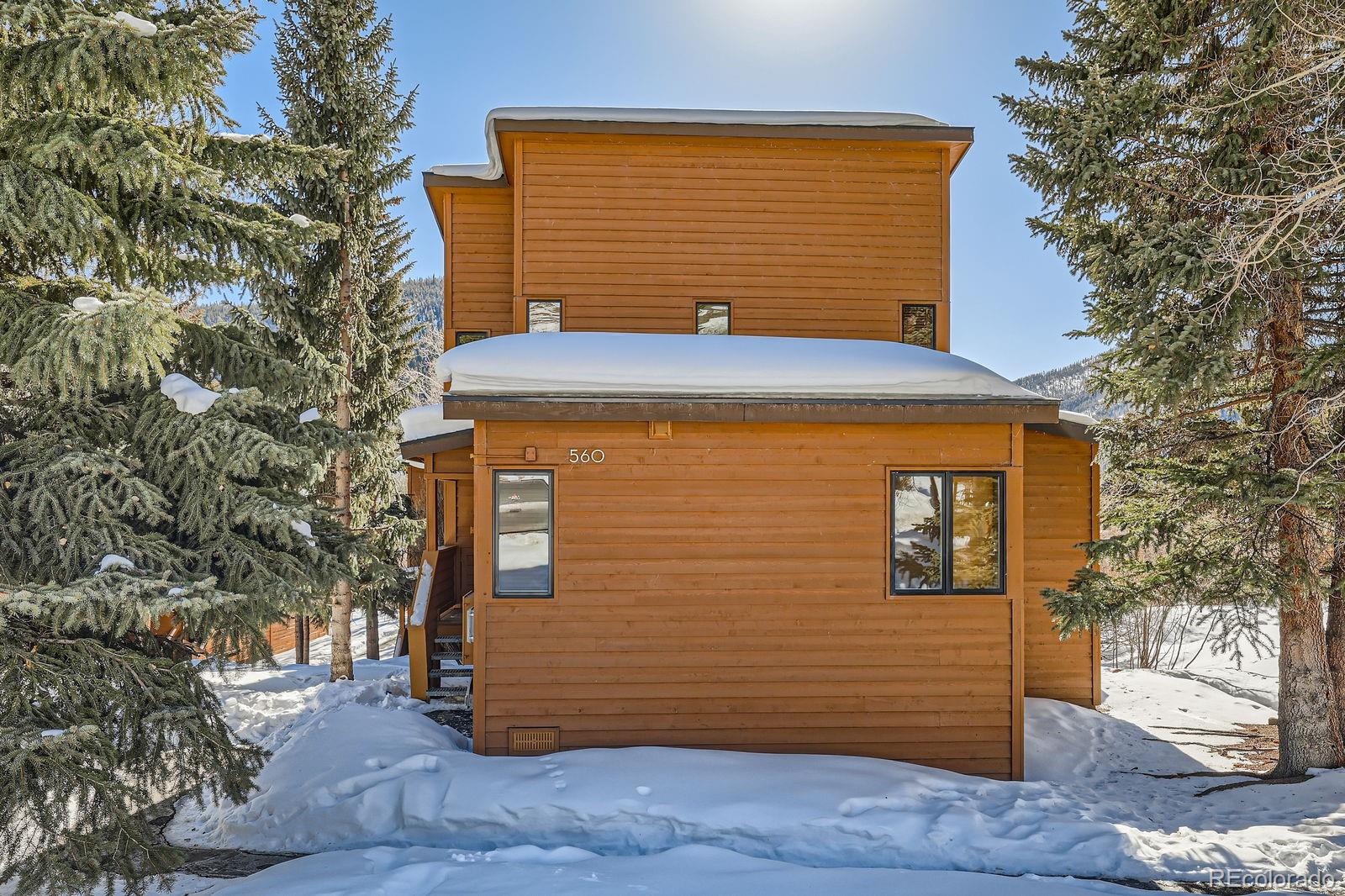 MLS Image #26 for 560  tennis club road,dillon, Colorado