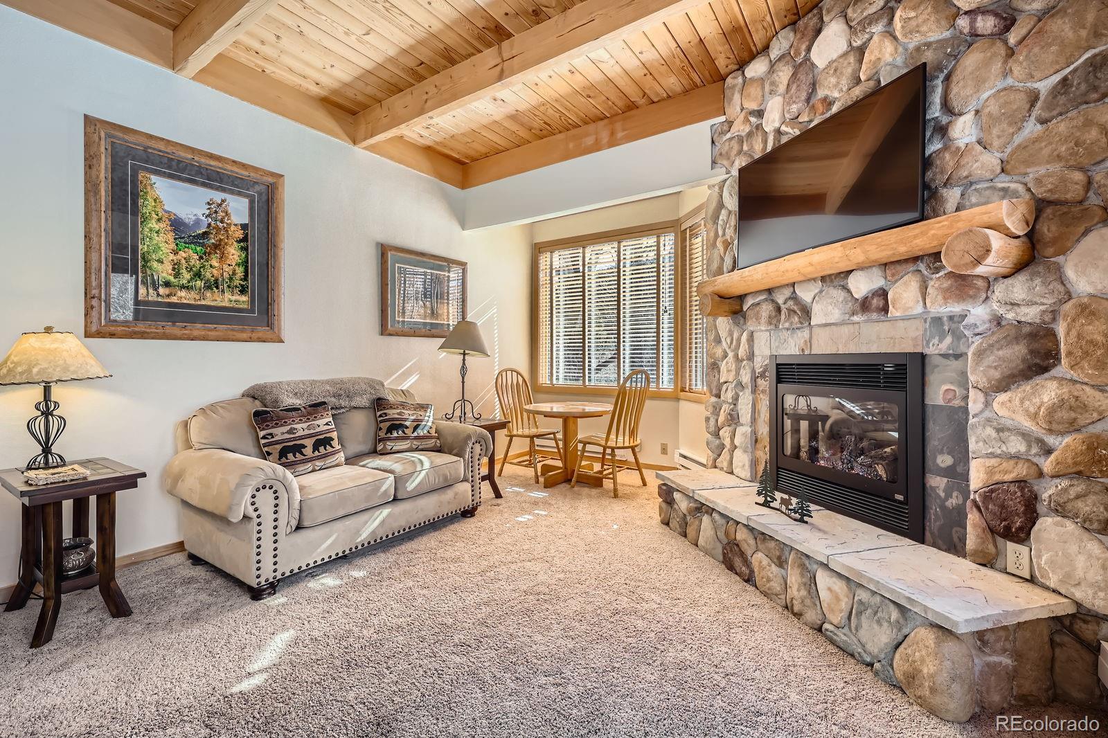 MLS Image #3 for 560  tennis club road,dillon, Colorado