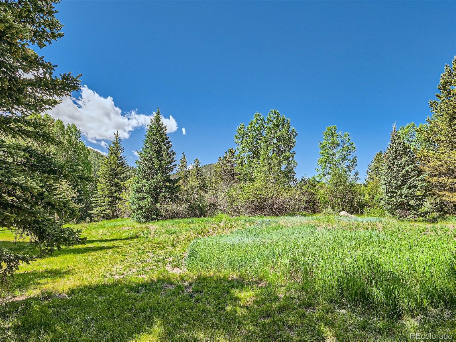 MLS Image #35 for 560  tennis club road,dillon, Colorado