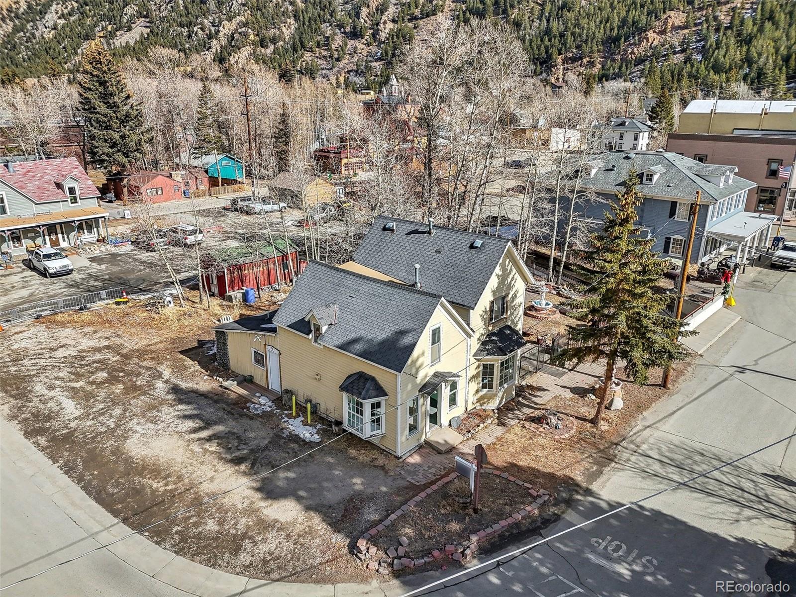 MLS Image #3 for 710  6th street,georgetown, Colorado