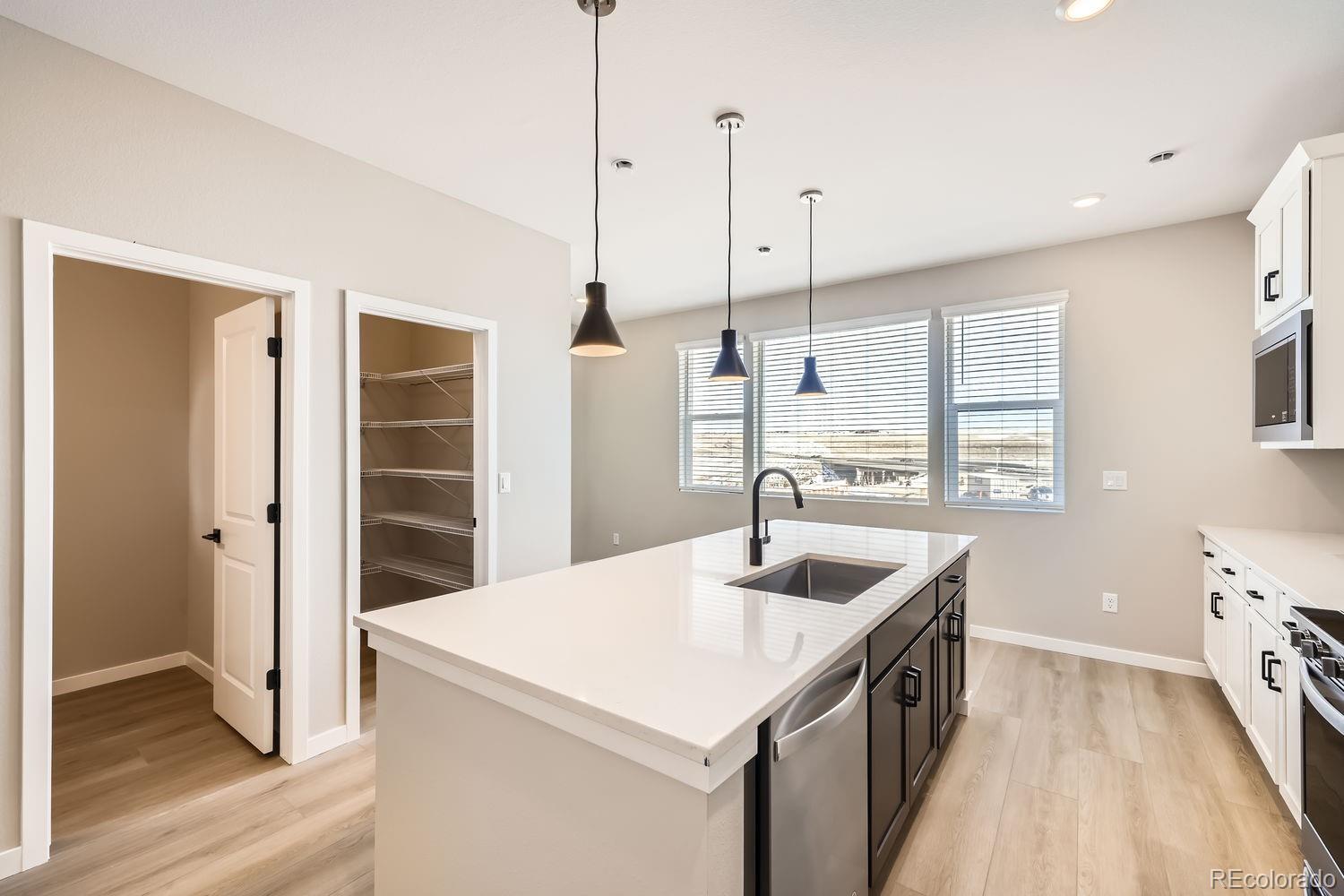 MLS Image #7 for 9637  browns peak circle,littleton, Colorado