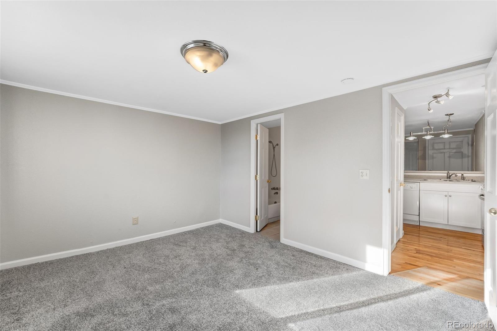 MLS Image #13 for 336 n grant street 408,denver, Colorado