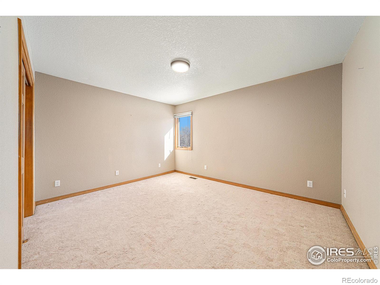 MLS Image #20 for 1821  globe court,fort collins, Colorado