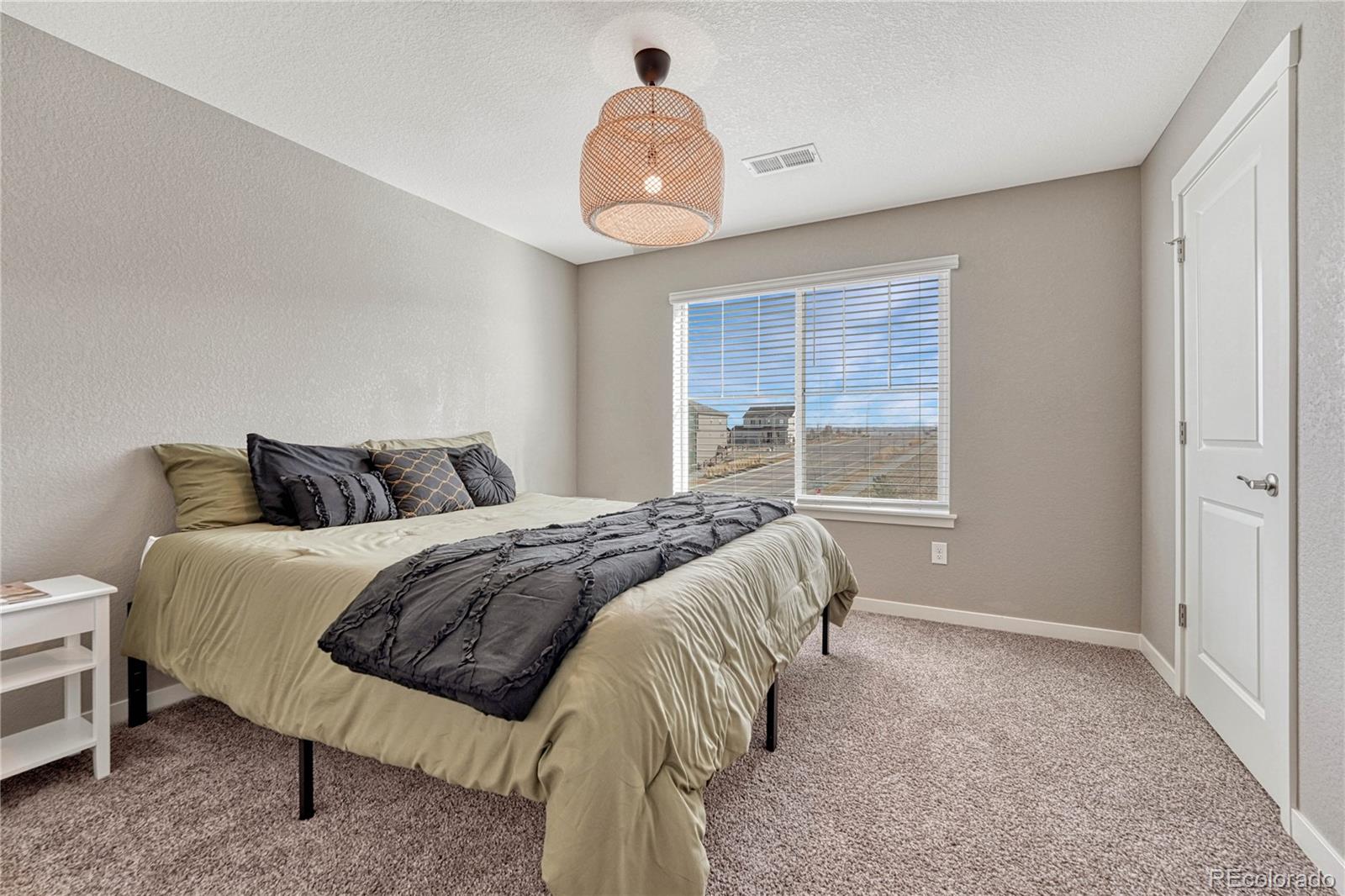 MLS Image #19 for 14021  scarlet sage street,parker, Colorado