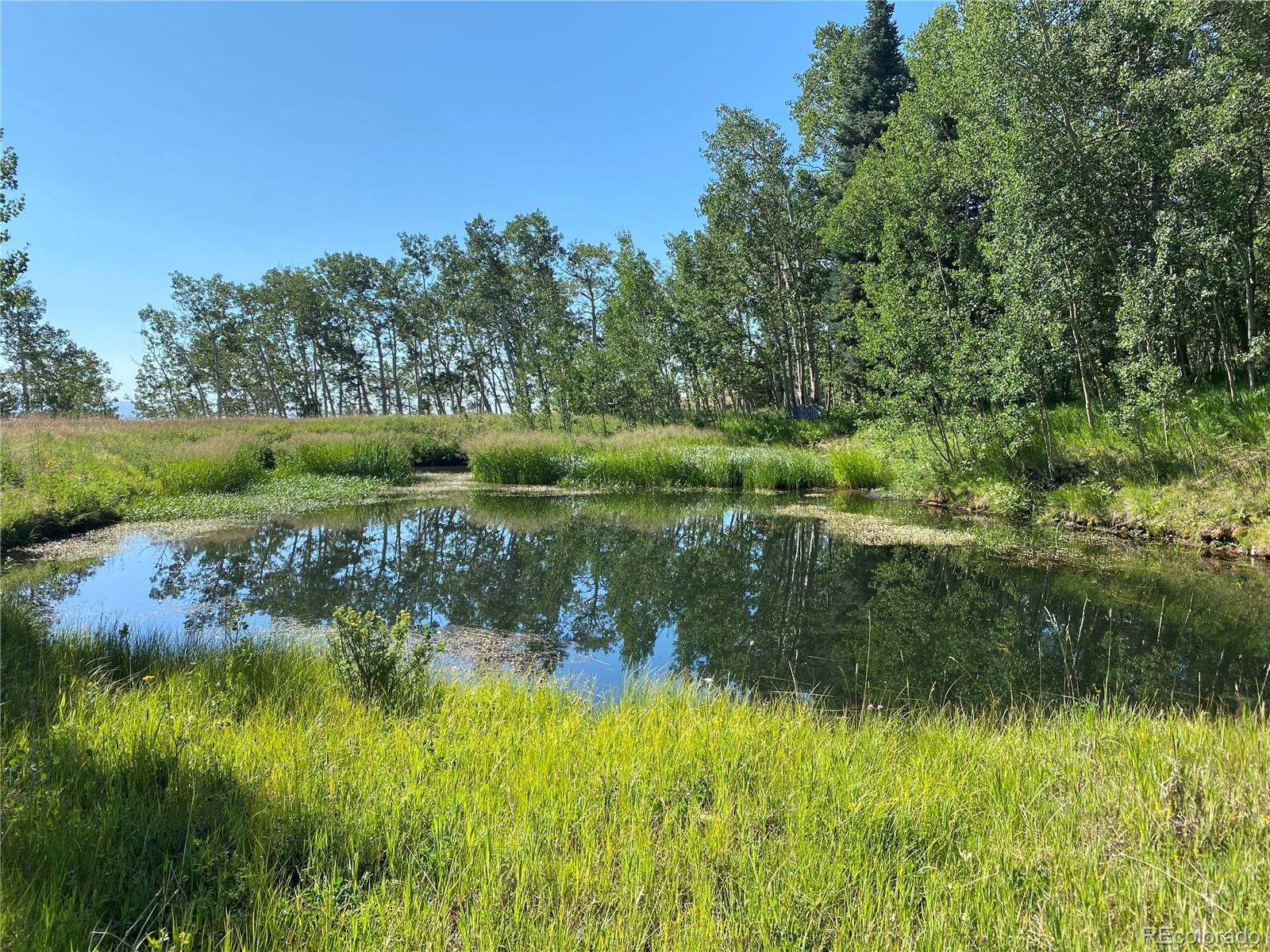 CMA Image for 723  Chalice Drive,Westcliffe, Colorado