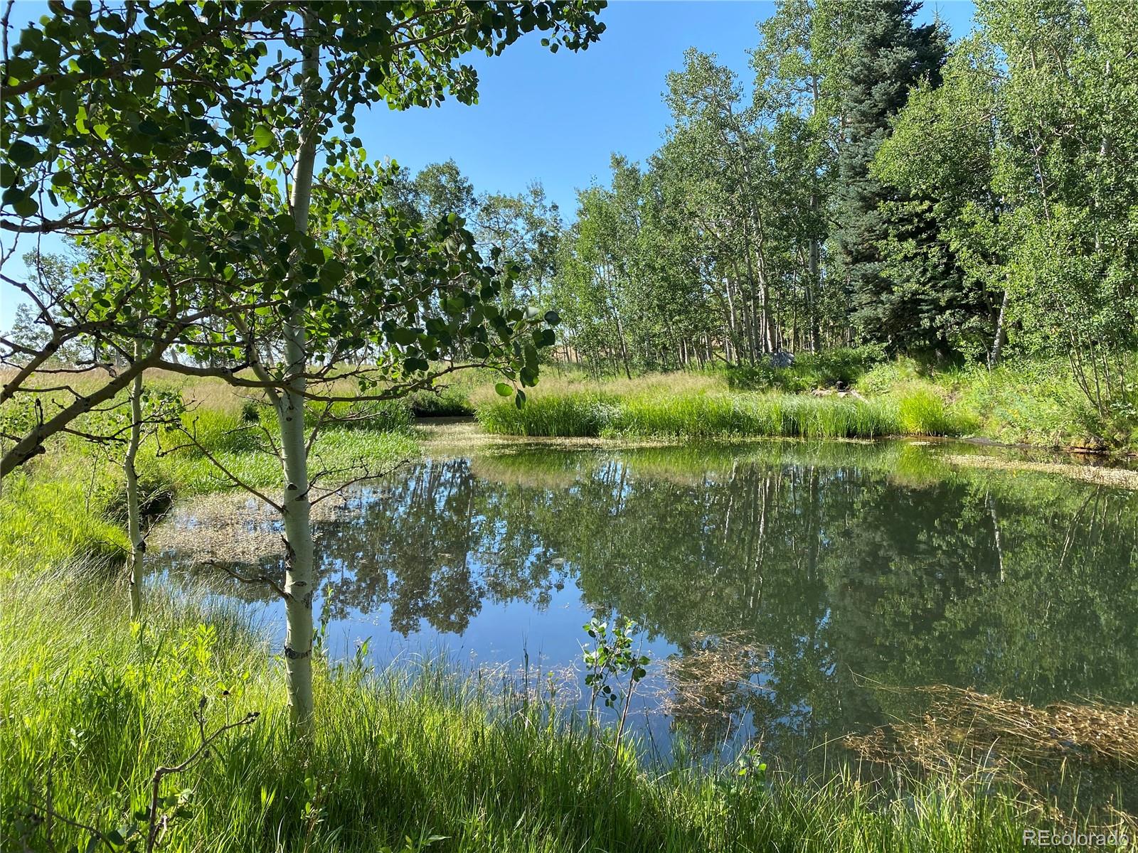 MLS Image #19 for 723  chalice drive,westcliffe, Colorado