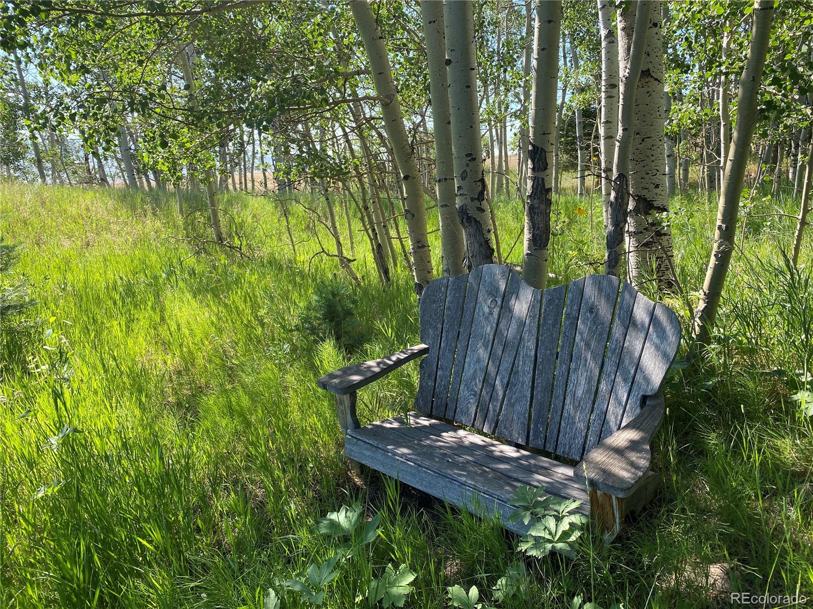 MLS Image #20 for 723  chalice drive,westcliffe, Colorado