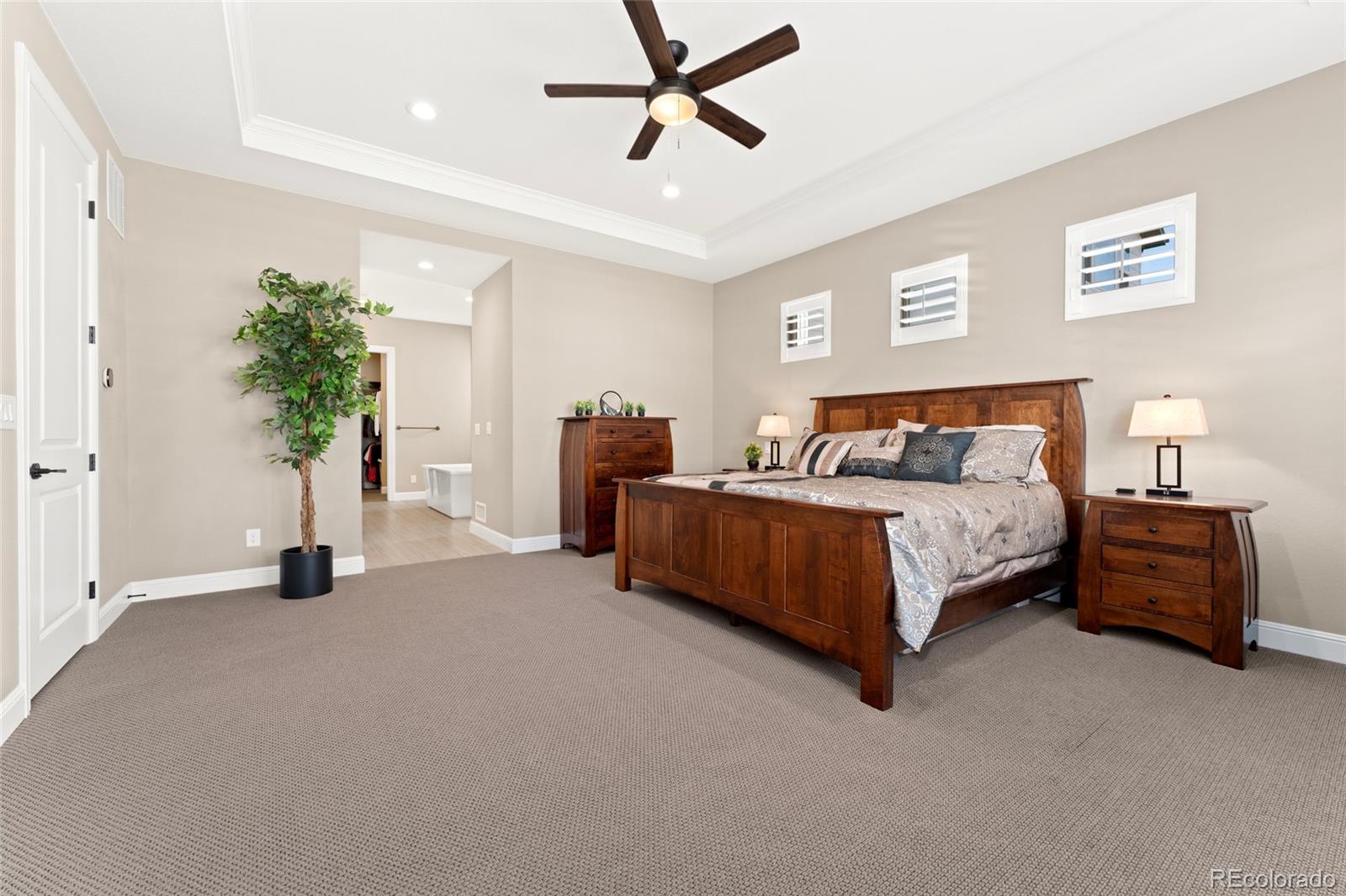MLS Image #14 for 228  rogers court,castle rock, Colorado