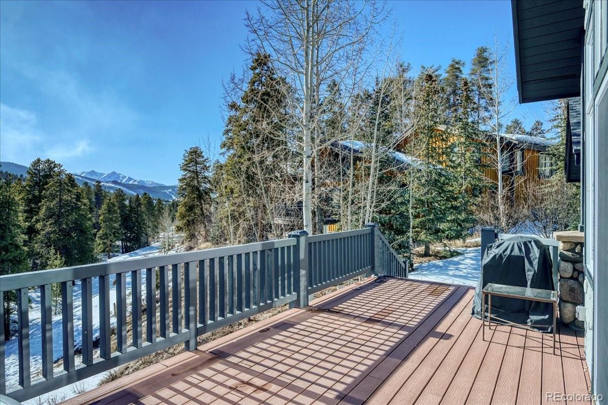 MLS Image #21 for 298  elk crossing lane,keystone, Colorado