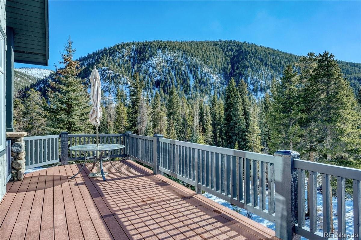 MLS Image #22 for 298  elk crossing lane,keystone, Colorado