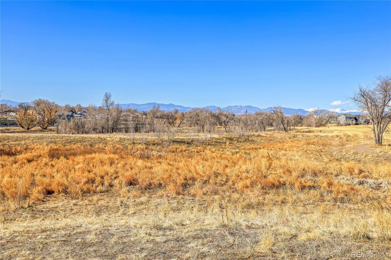 MLS Image #33 for 6650  zuni street,denver, Colorado