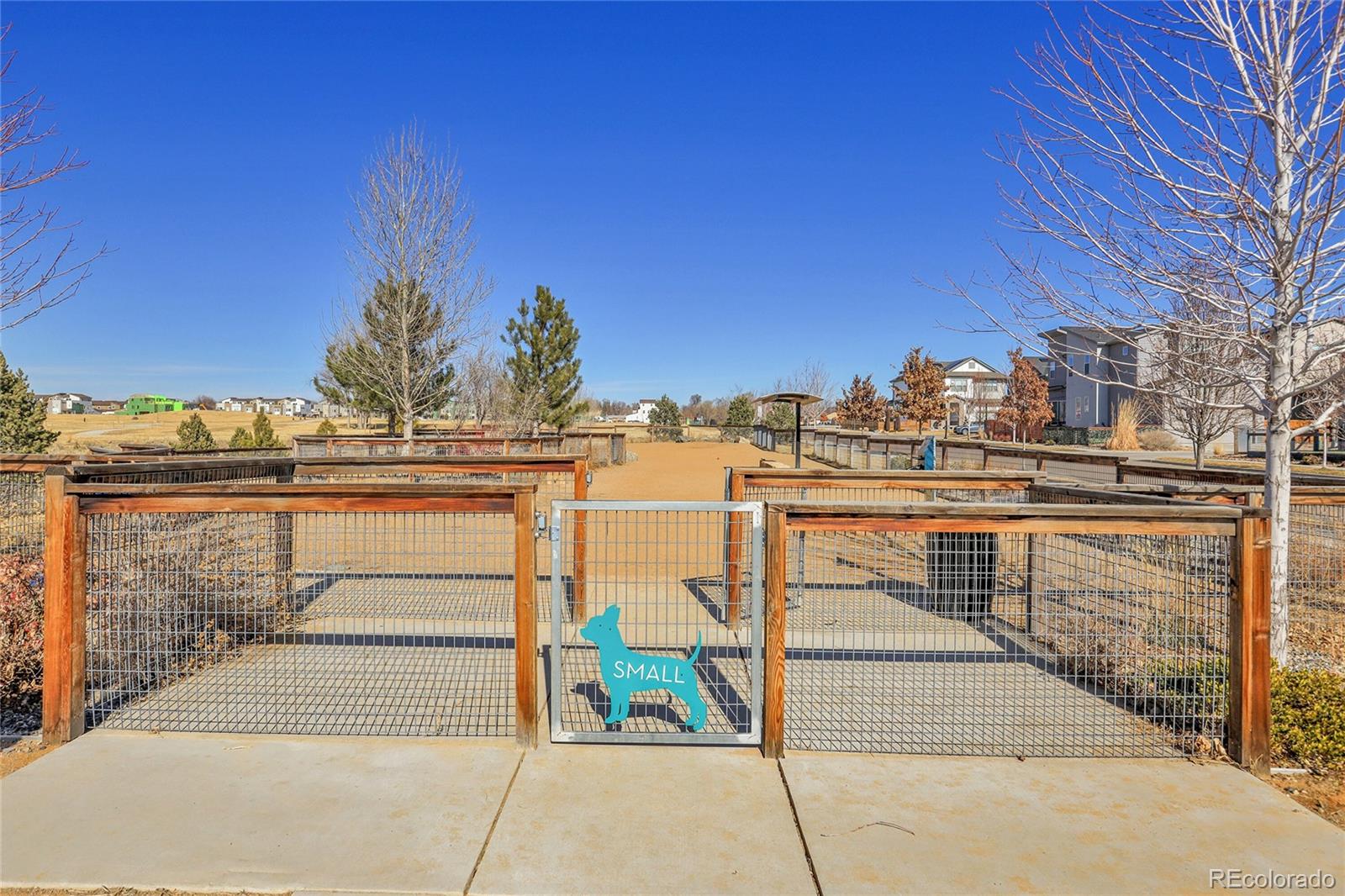 MLS Image #34 for 6650  zuni street,denver, Colorado