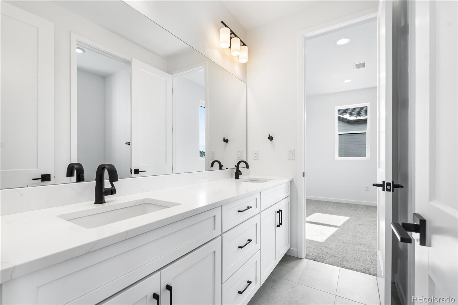 MLS Image #17 for 8864  moonshimmer trail,littleton, Colorado