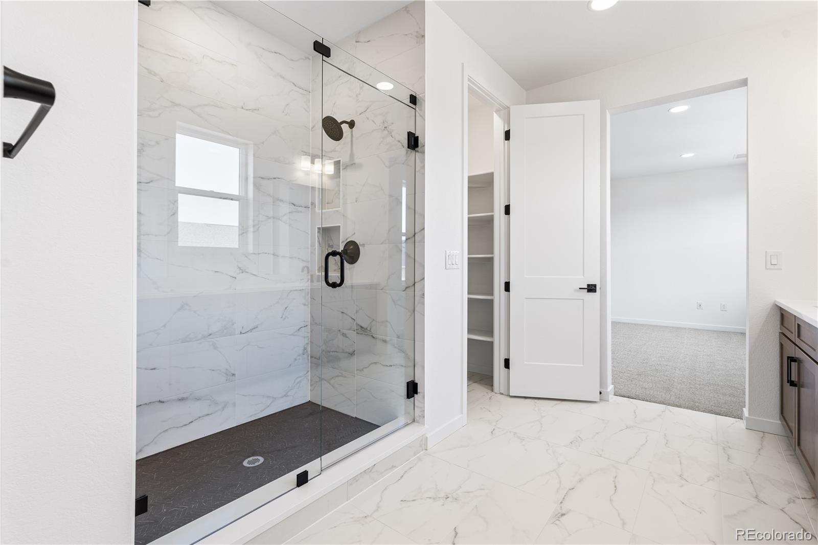 MLS Image #32 for 8864  moonshimmer trail,littleton, Colorado