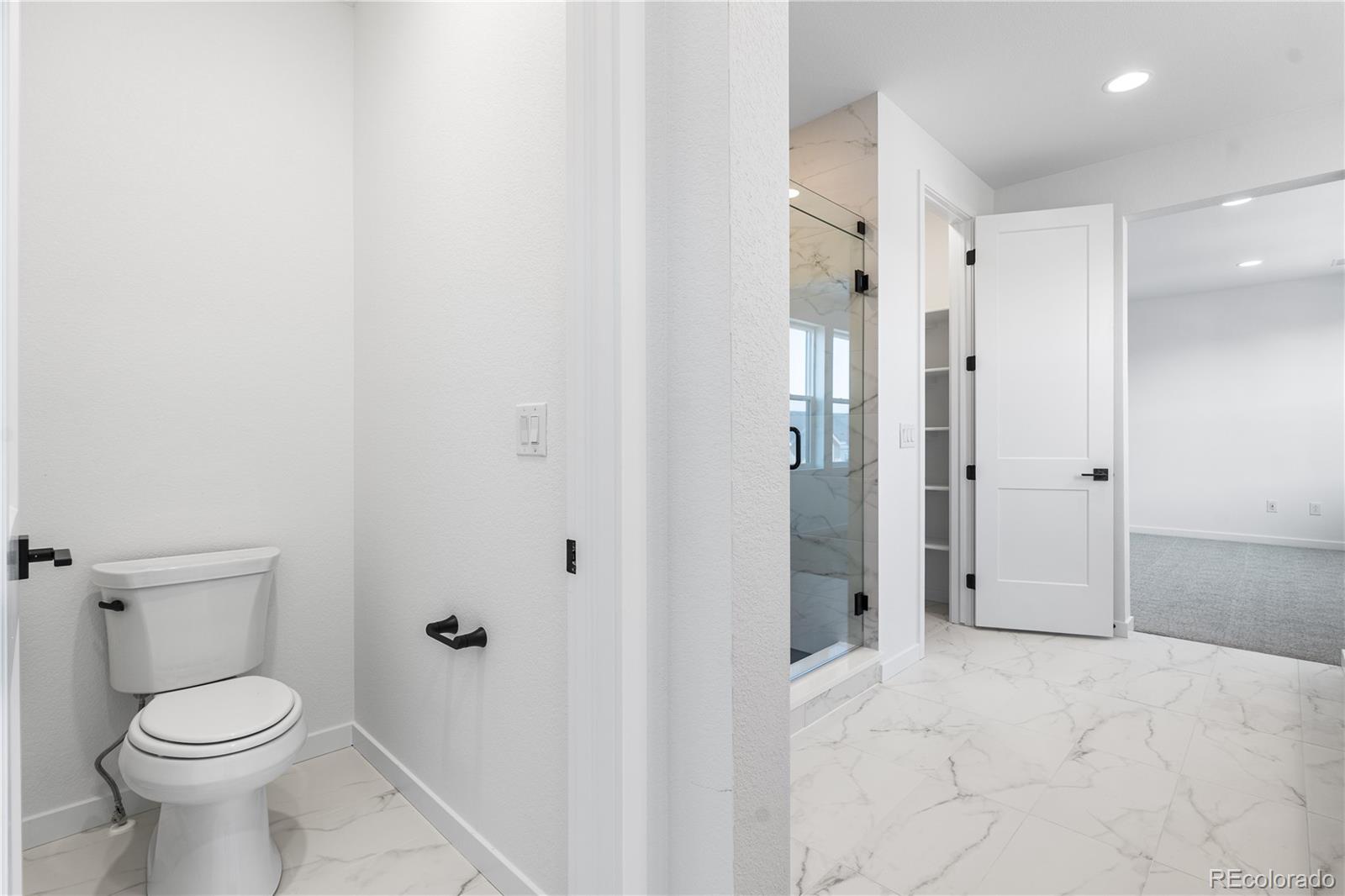 MLS Image #33 for 8864  moonshimmer trail,littleton, Colorado