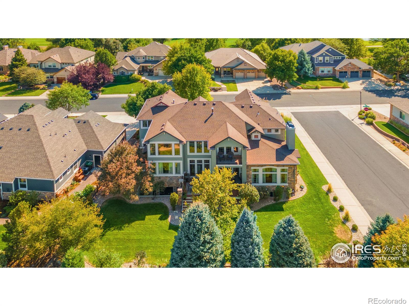 MLS Image #38 for 1644  stardance circle,longmont, Colorado