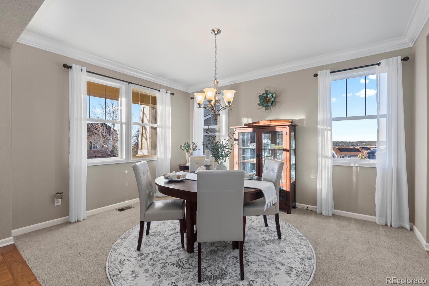 MLS Image #5 for 2776  badlands court,castle rock, Colorado