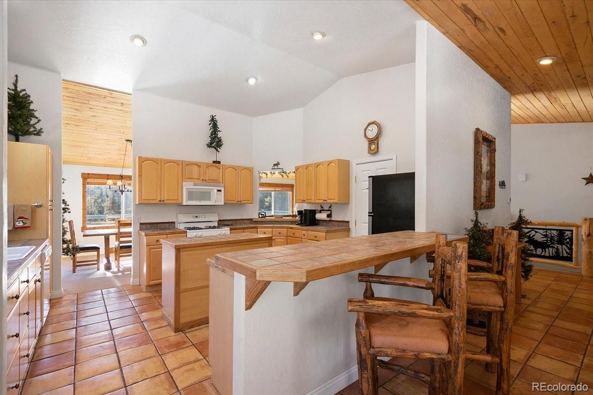 MLS Image #11 for 36  isabelle court,fairplay, Colorado