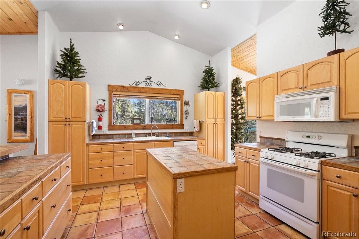 MLS Image #12 for 36  isabelle court,fairplay, Colorado