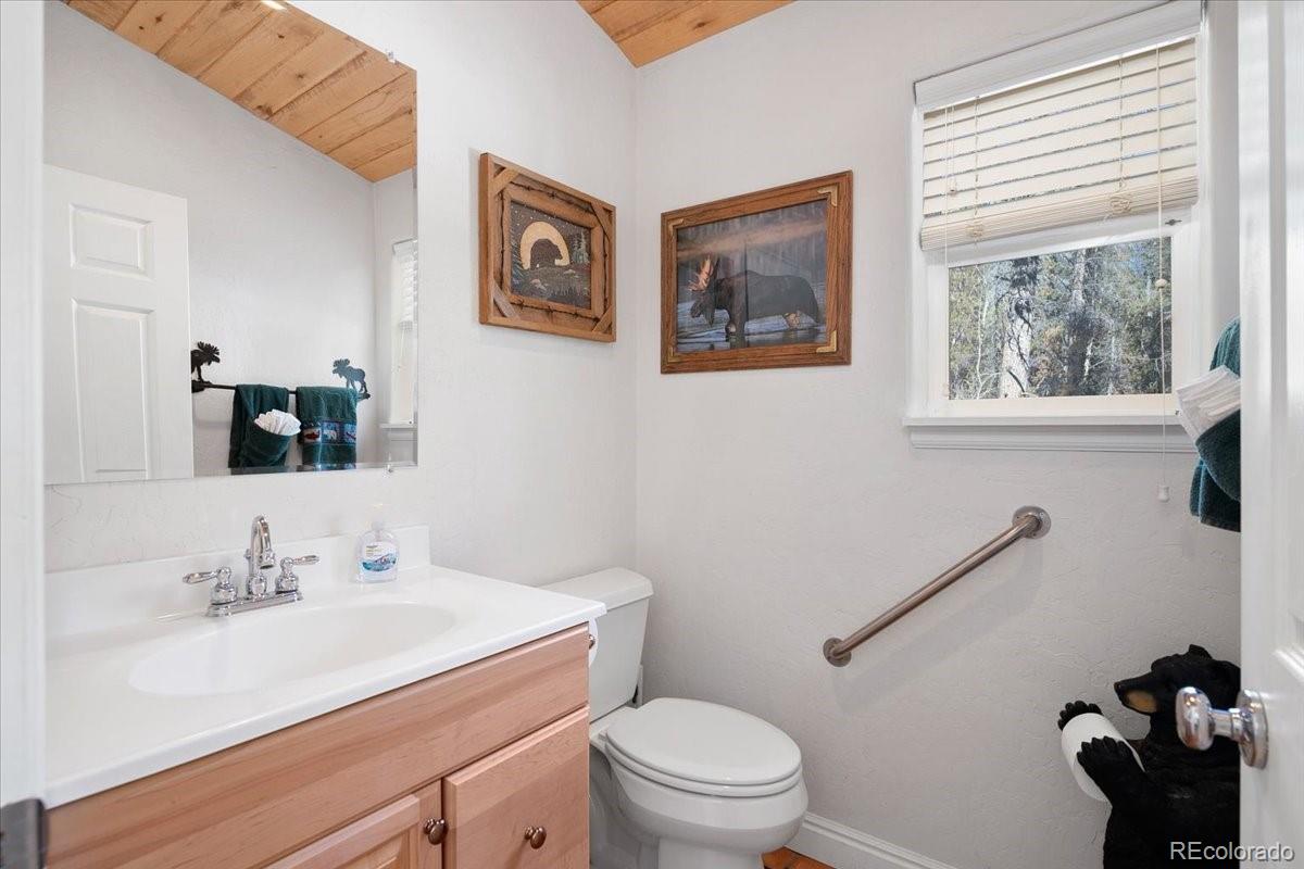 MLS Image #15 for 36  isabelle court,fairplay, Colorado