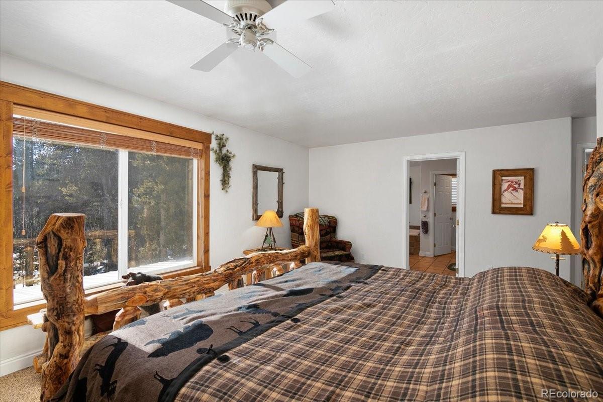 MLS Image #19 for 36  isabelle court,fairplay, Colorado