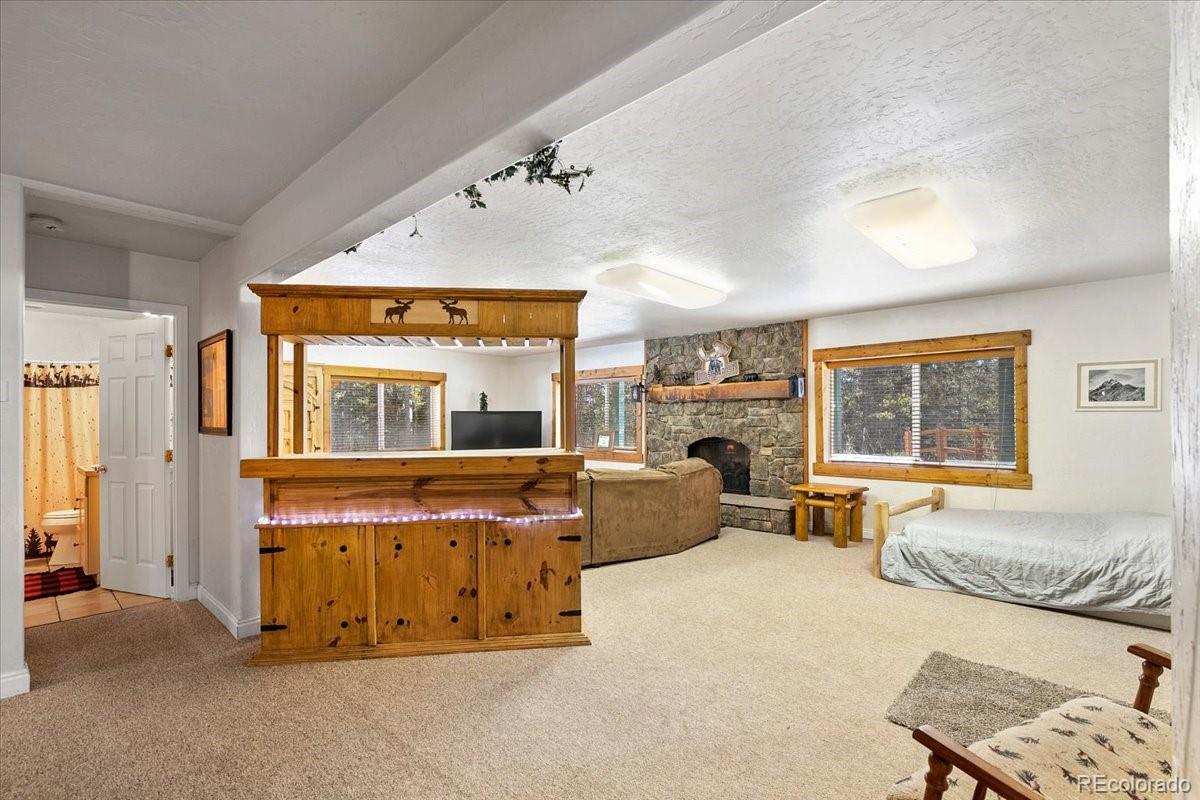 MLS Image #29 for 36  isabelle court,fairplay, Colorado