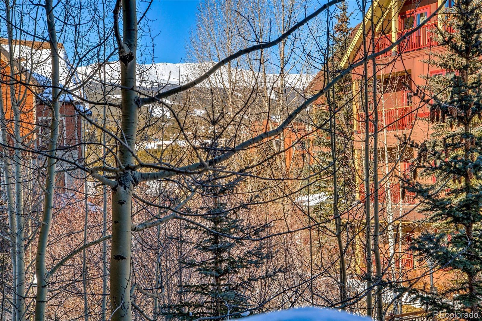 MLS Image #48 for 600  columbine road,breckenridge, Colorado