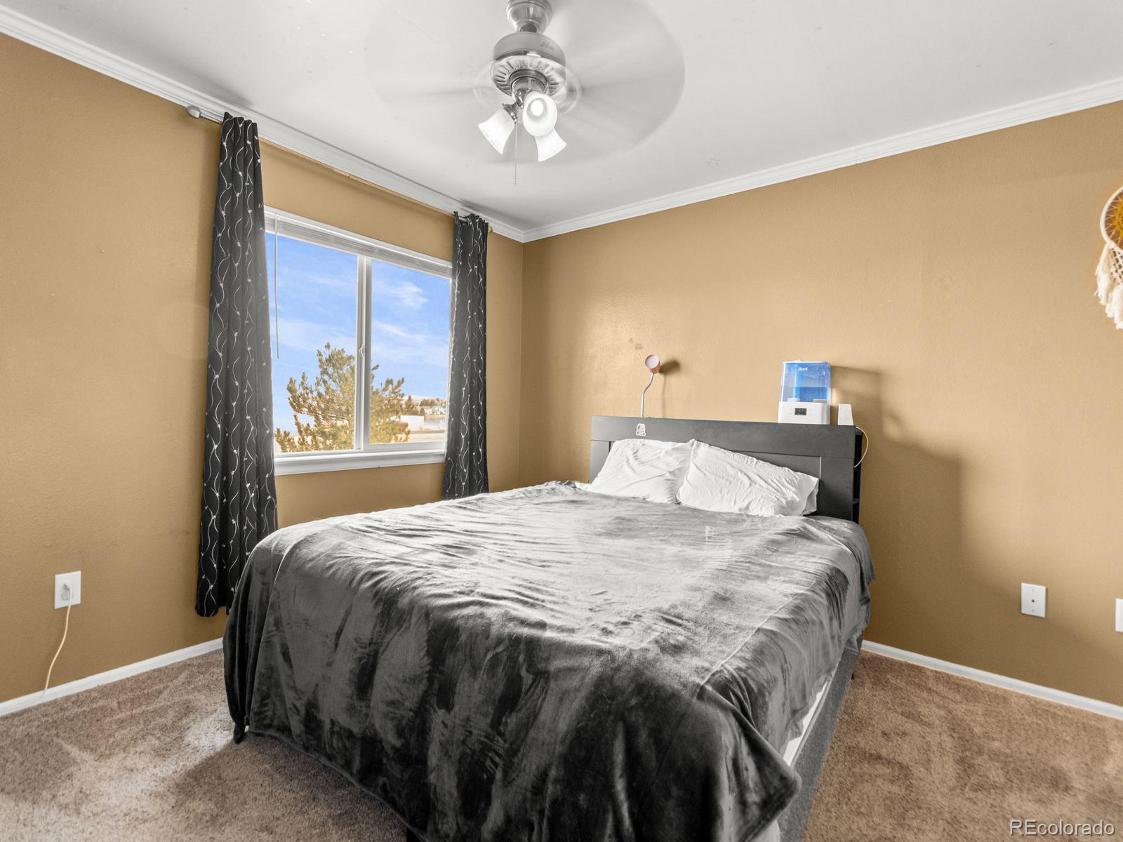 MLS Image #19 for 12524  forest drive,thornton, Colorado