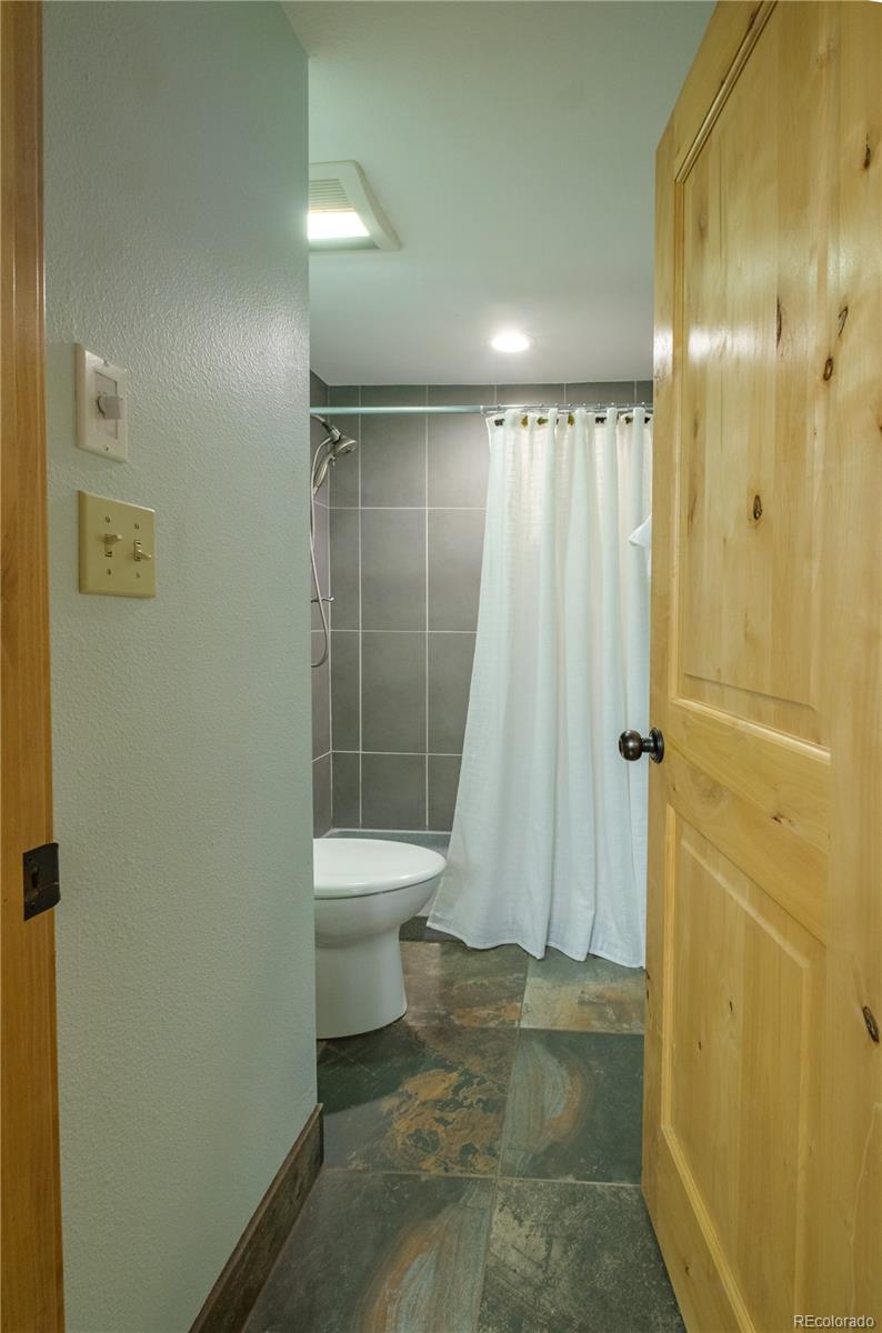 MLS Image #10 for 128  gcr 702 ,winter park, Colorado