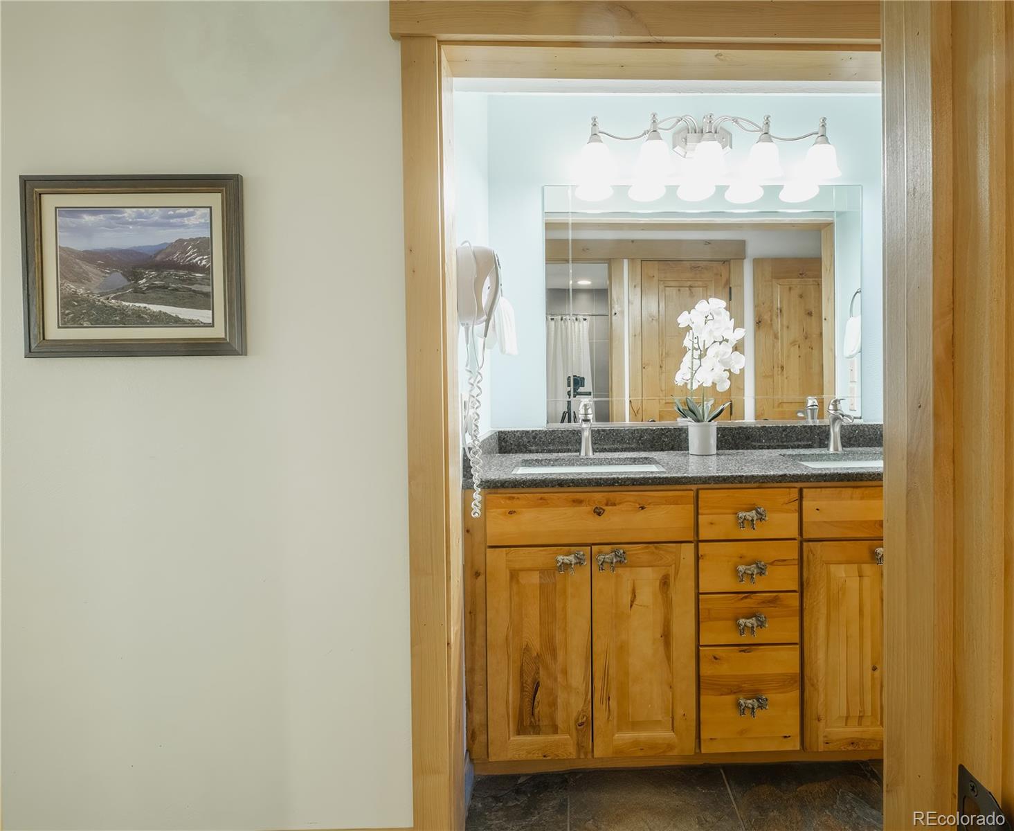 MLS Image #9 for 128  gcr 702 ,winter park, Colorado