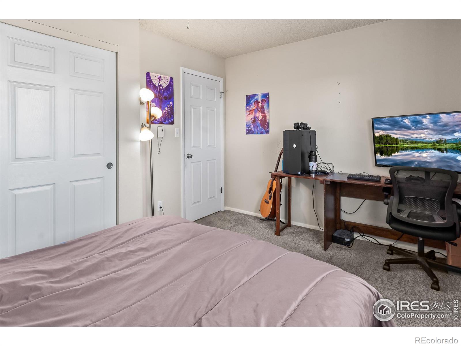 MLS Image #17 for 8112  mummy range drive,fort collins, Colorado