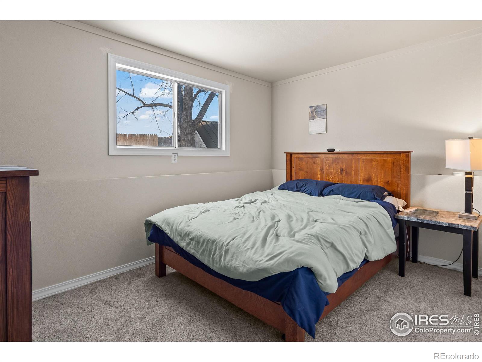 MLS Image #25 for 8112  mummy range drive,fort collins, Colorado