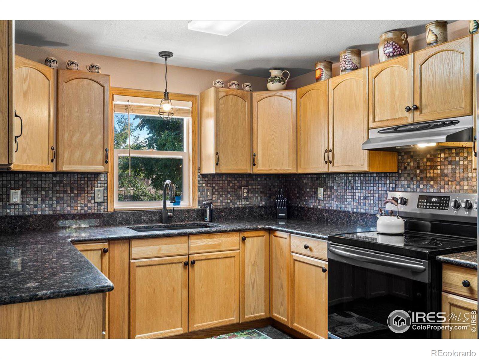 MLS Image #10 for 719  marshall place,berthoud, Colorado