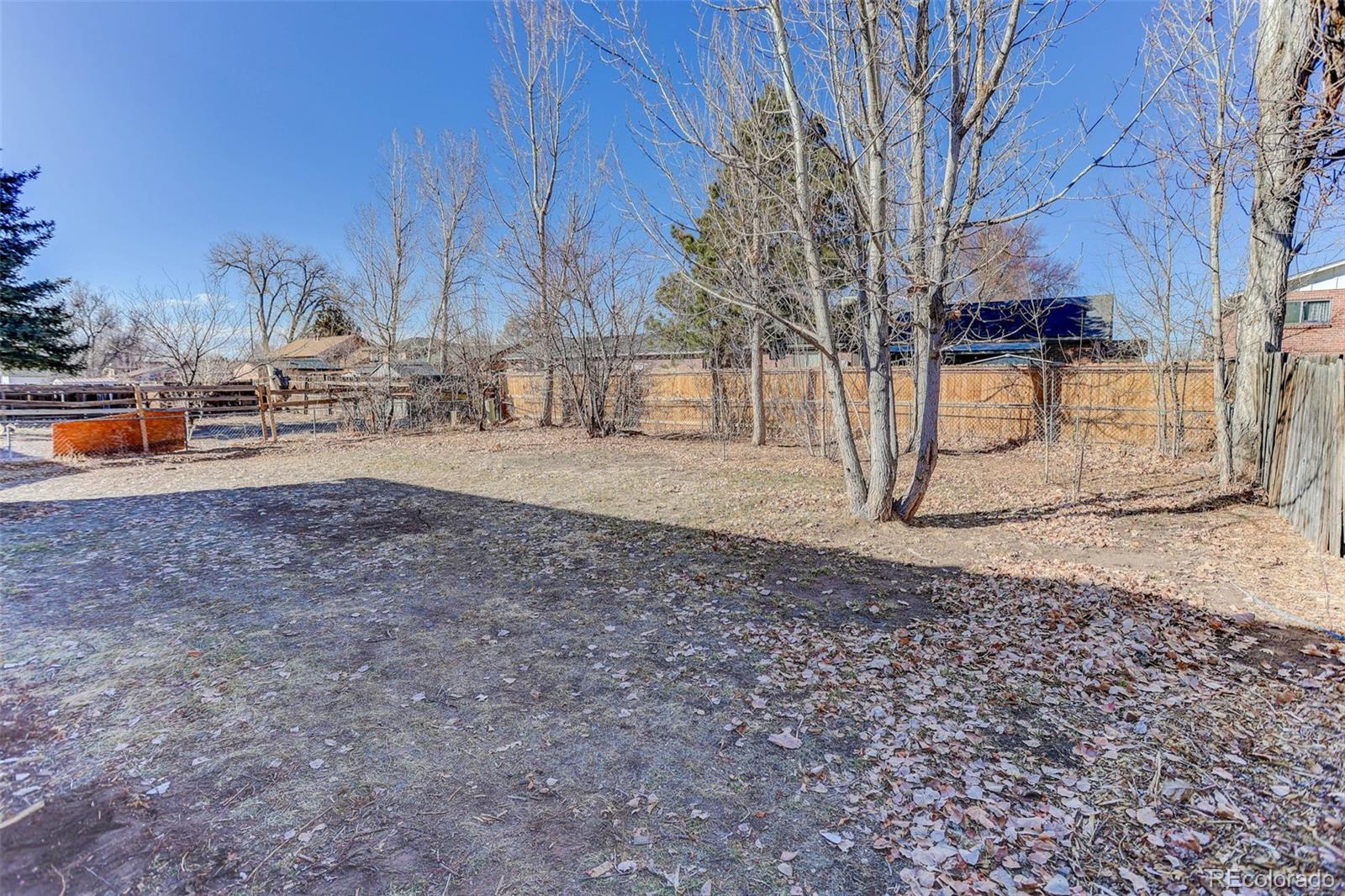 MLS Image #31 for 14723  march drive,denver, Colorado