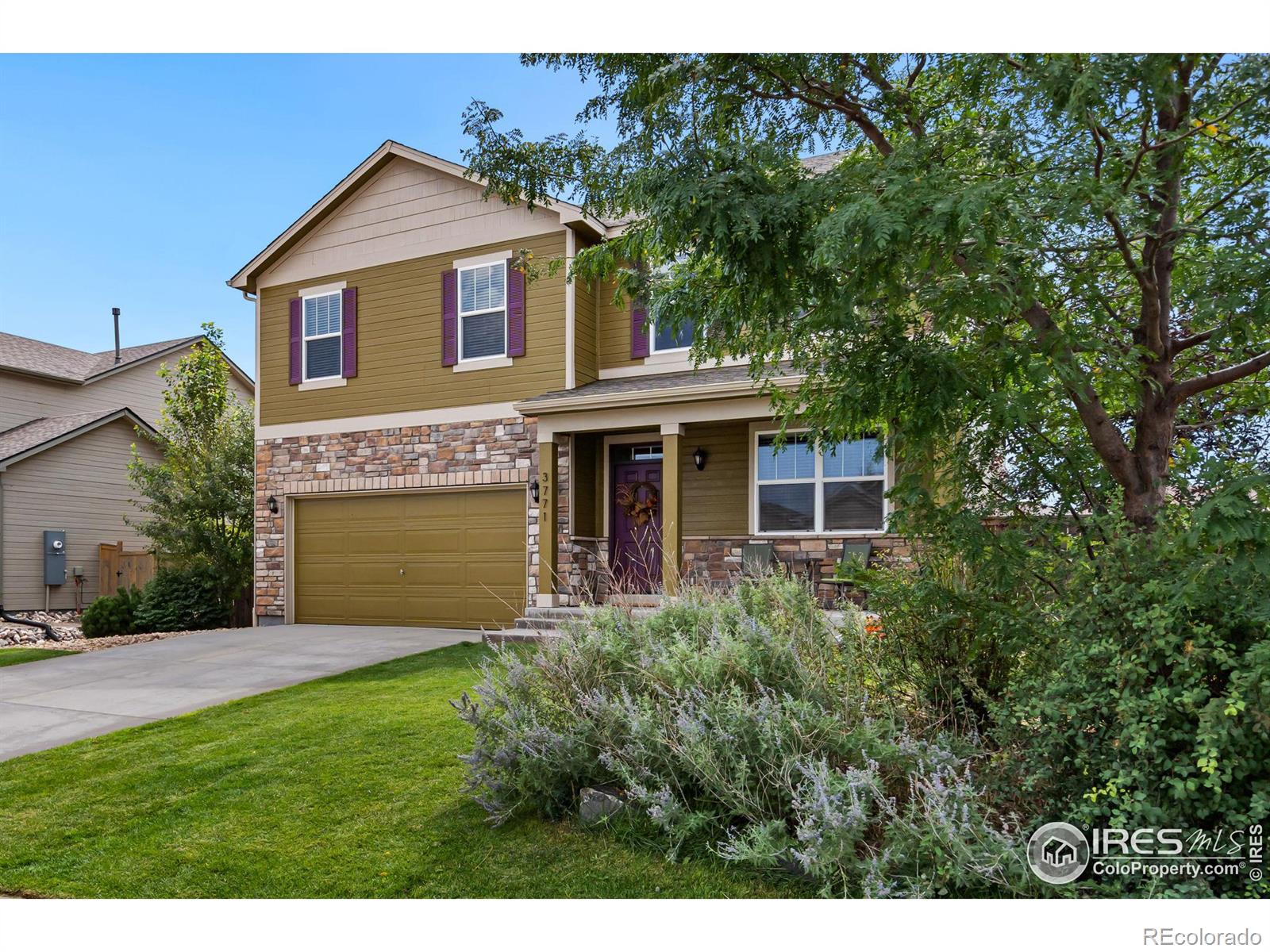 MLS Image #1 for 3771  daylily street,wellington, Colorado