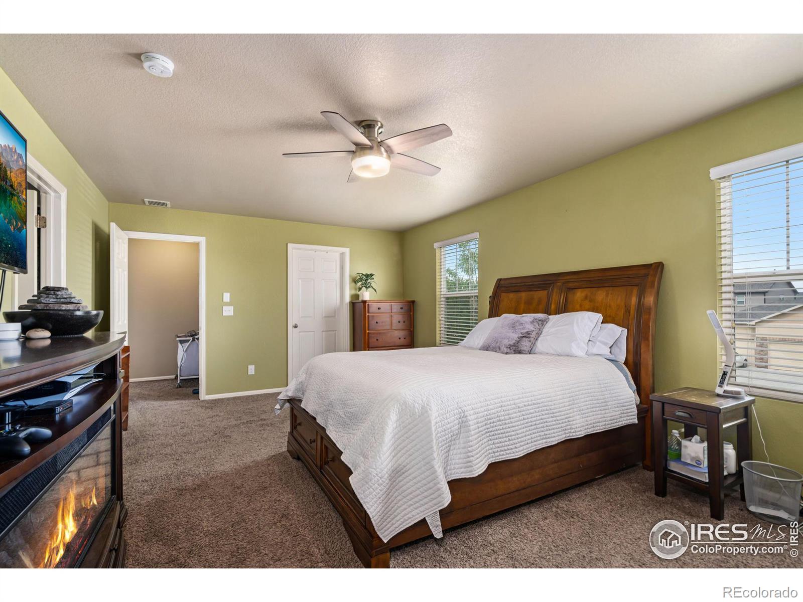 MLS Image #18 for 3771  daylily street,wellington, Colorado