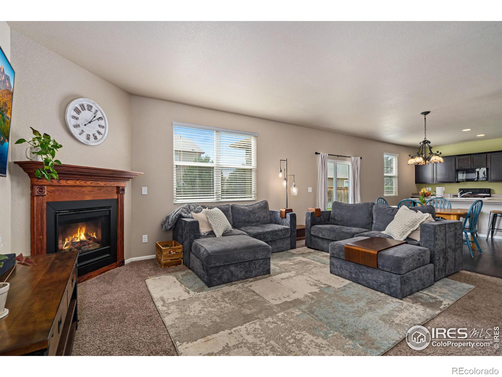 MLS Image #6 for 3771  daylily street,wellington, Colorado