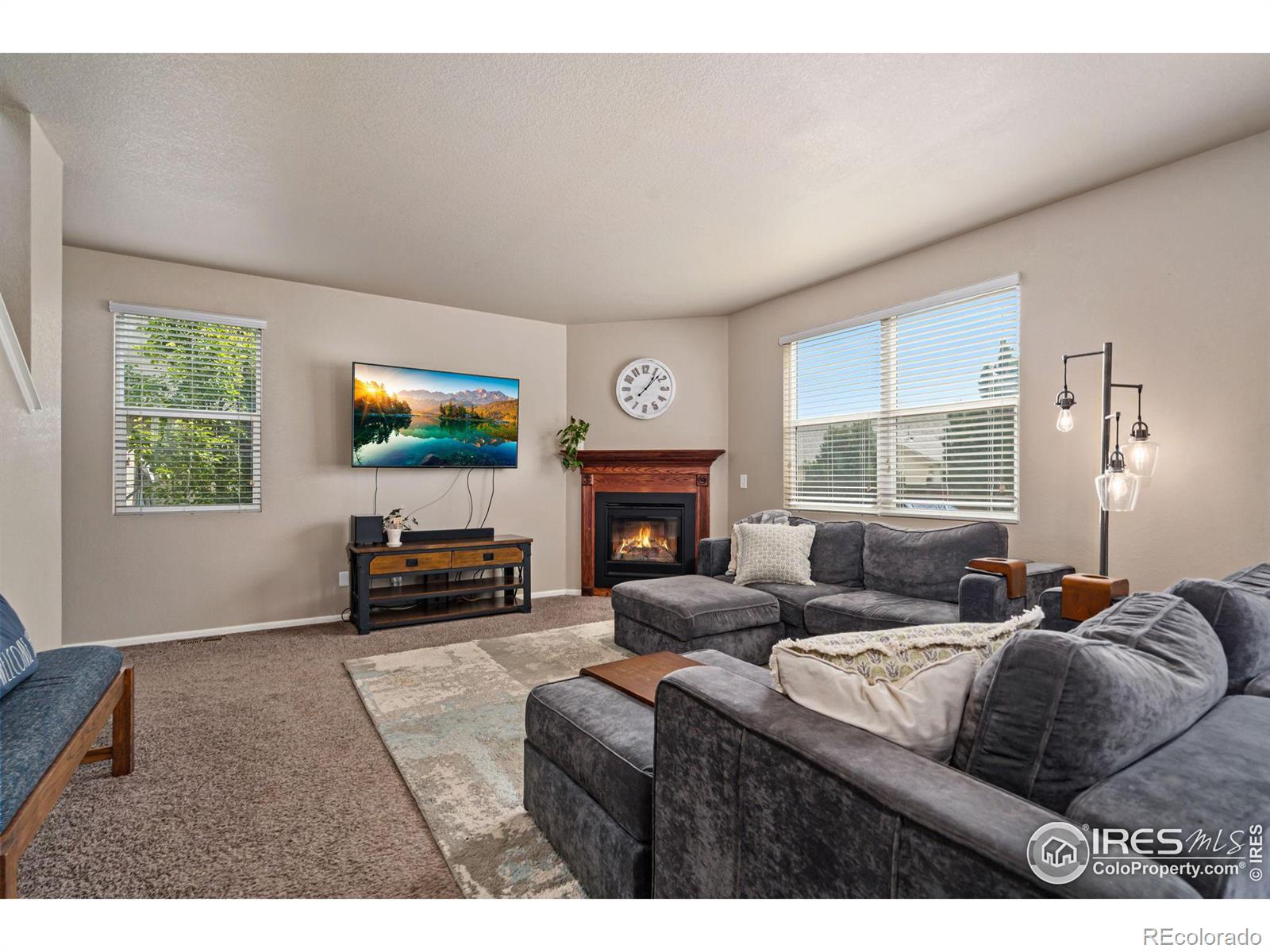 MLS Image #7 for 3771  daylily street,wellington, Colorado