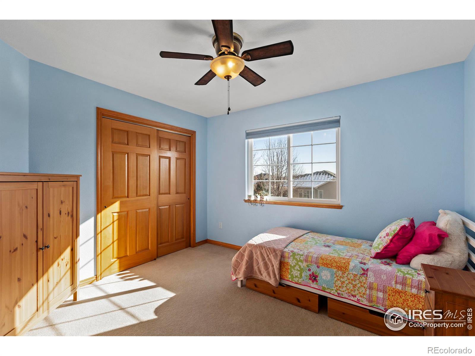 MLS Image #28 for 3627  wild view drive,fort collins, Colorado