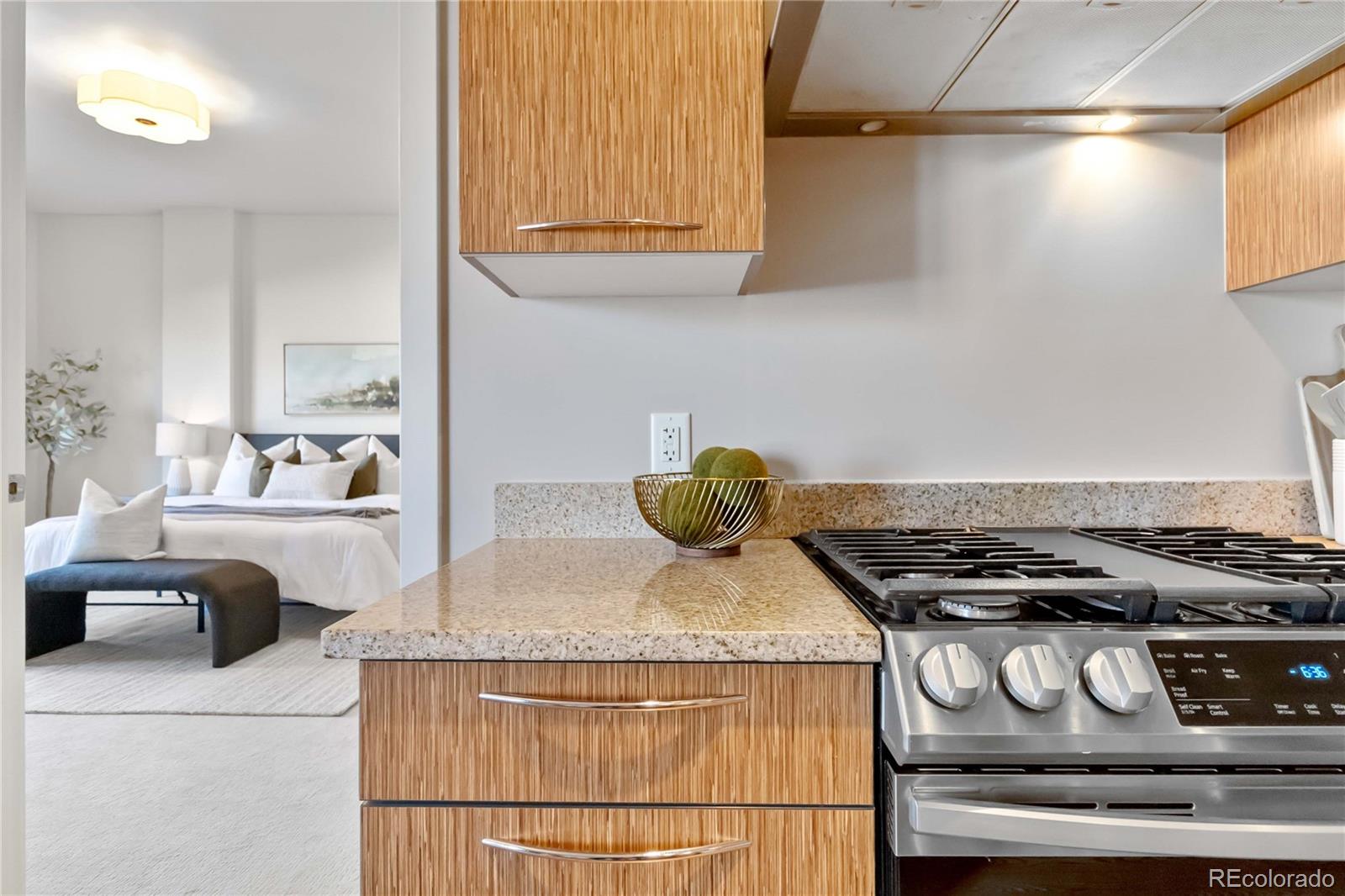 MLS Image #4 for 410  acoma street 309,denver, Colorado