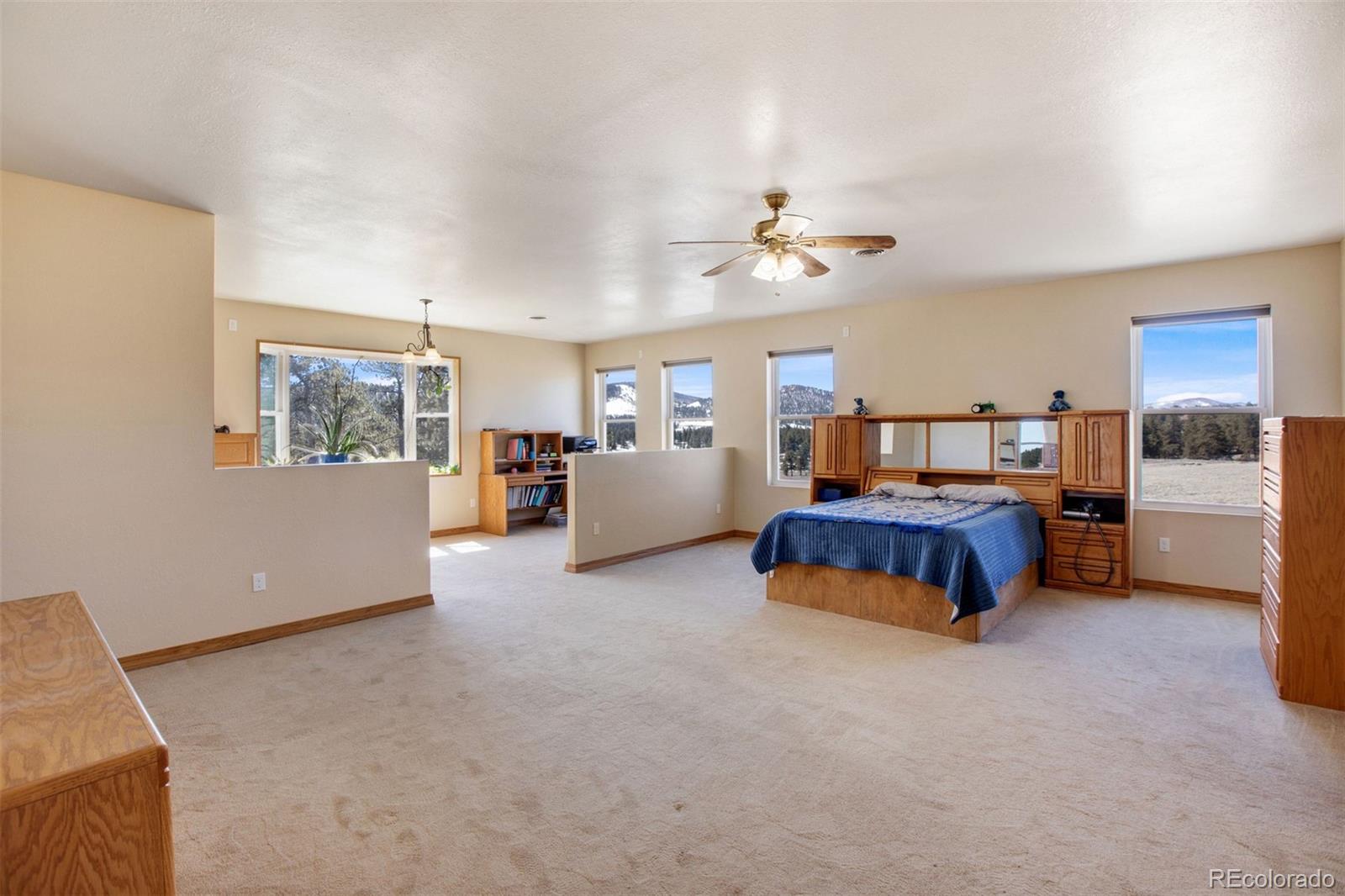 MLS Image #11 for 1363  tess trace ,guffey, Colorado