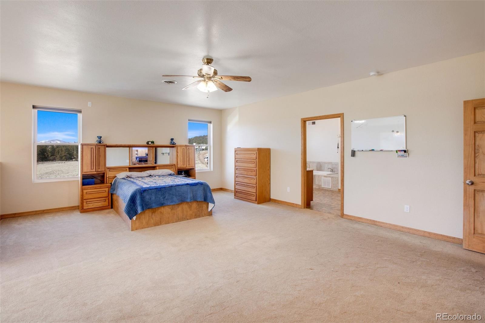 MLS Image #12 for 1363  tess trace ,guffey, Colorado