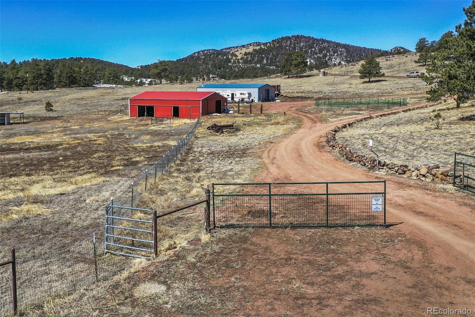 MLS Image #3 for 1363  tess trace ,guffey, Colorado