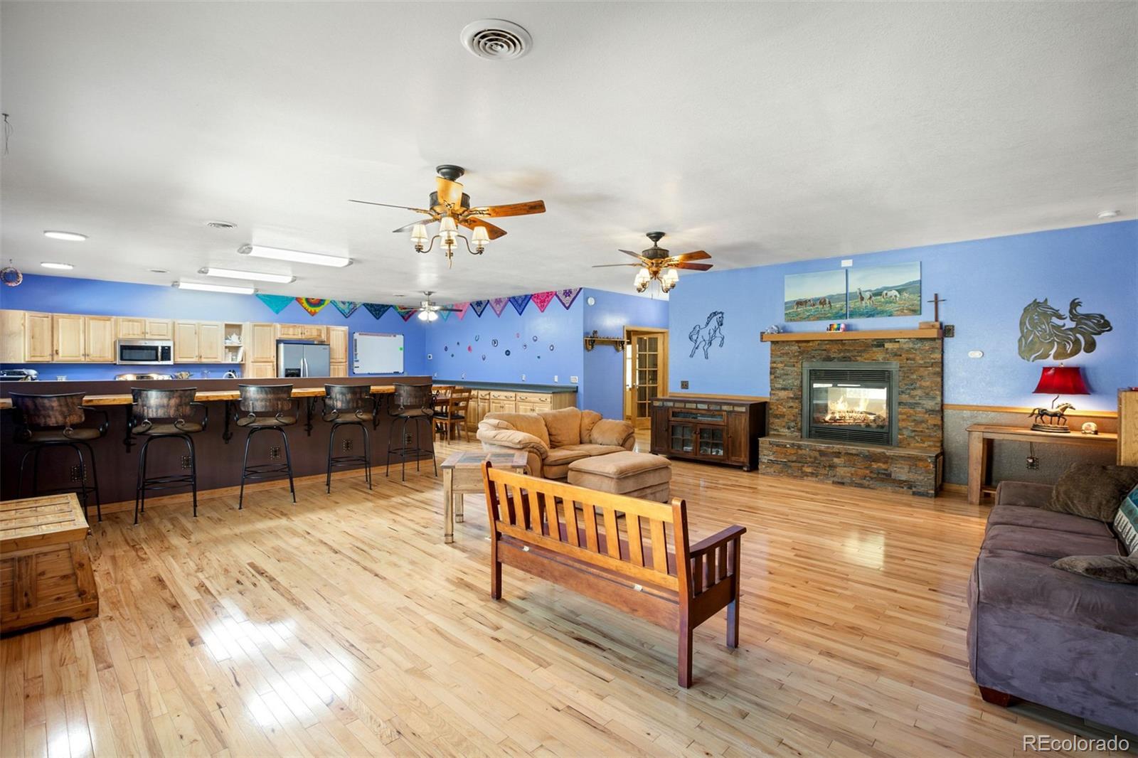 MLS Image #5 for 1363  tess trace ,guffey, Colorado