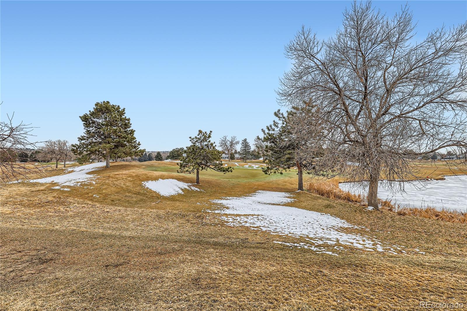 MLS Image #5 for 32  canongate lane,highlands ranch, Colorado